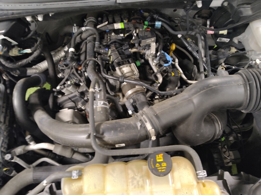 2019 Ford F150 in Knoxville, TN 37923 - 18106657 30