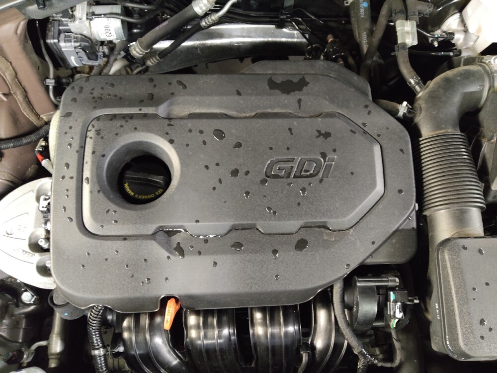 2019 Kia Sorento in Clearwater, FL 33764 - 18107301 30