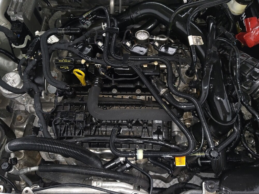 2019 Ford Fusion in Savannah, GA 31419 - 18108111 30