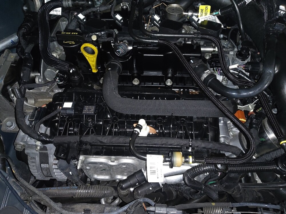 2019 Ford Escape in Jacksonville, FL 32210 - 18108263 30