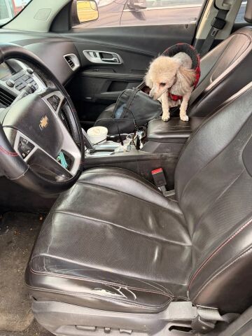 2013 Chevrolet Equinox in Wadena, MN 56482 - 18109631 9