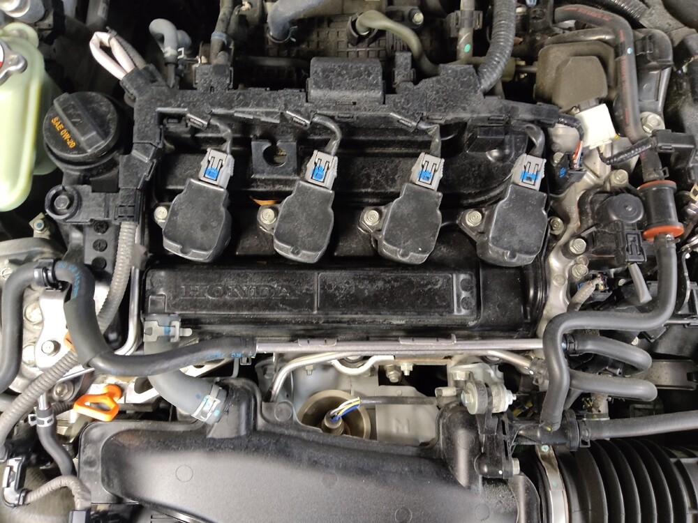 2021 Honda Civic in Tampa, FL 33612 - 18110014 30