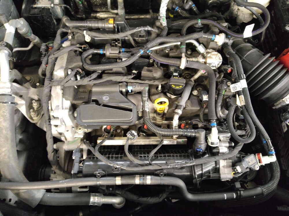 2021 Ford Escape in Tallahassee, FL 32304 - 18110785 30