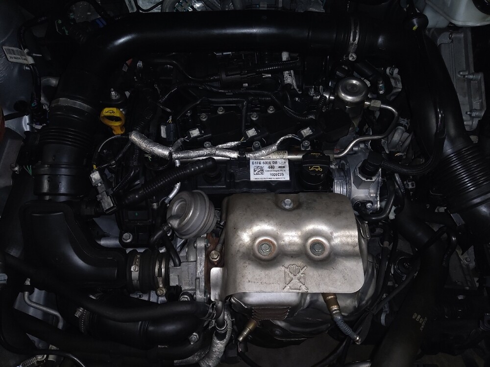 2019 Ford EcoSport in West Palm Beach, FL 33409 - 18110977 30