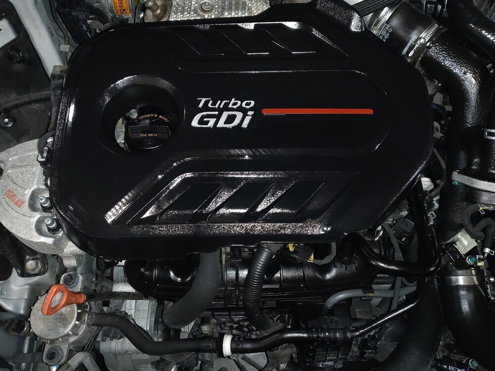 2019 Hyundai Santa Fe in Pensacola, FL 32505 - 18111050 30