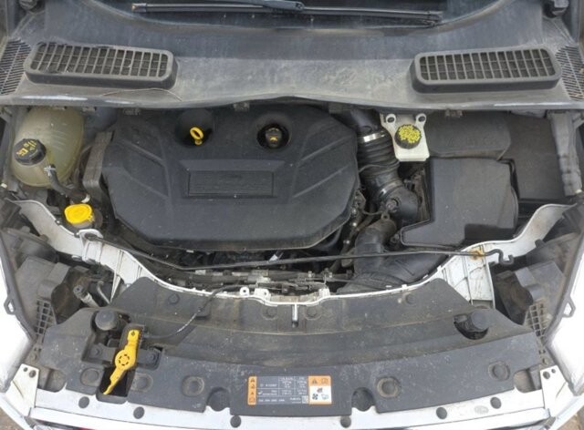 2019 Ford Escape in Arvada, CO 80002 - 18111970 13