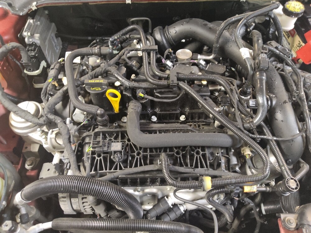 2019 Ford Fusion in Tallahassee, FL 32304 - 18112089 30