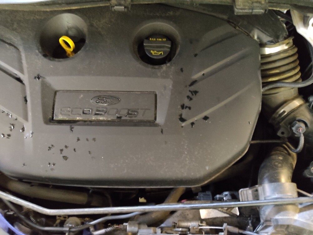 2016 Ford Escape in Greensboro, NC 27407 - 18113440 30