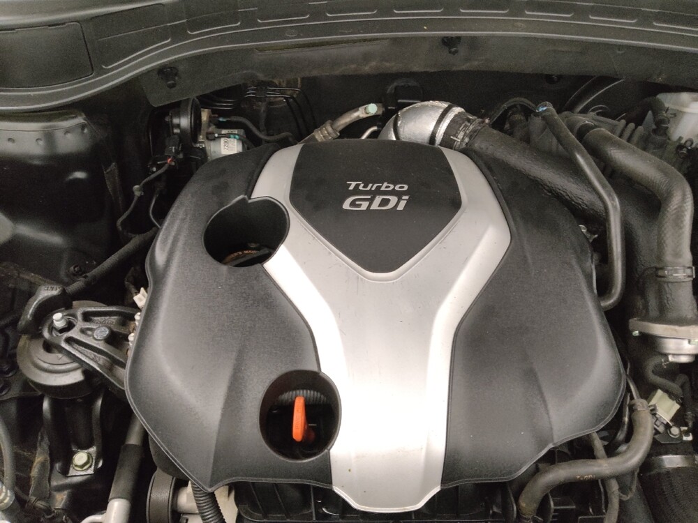 2014 Hyundai Santa Fe in St. Louis, MO 63136 - 18115117 30