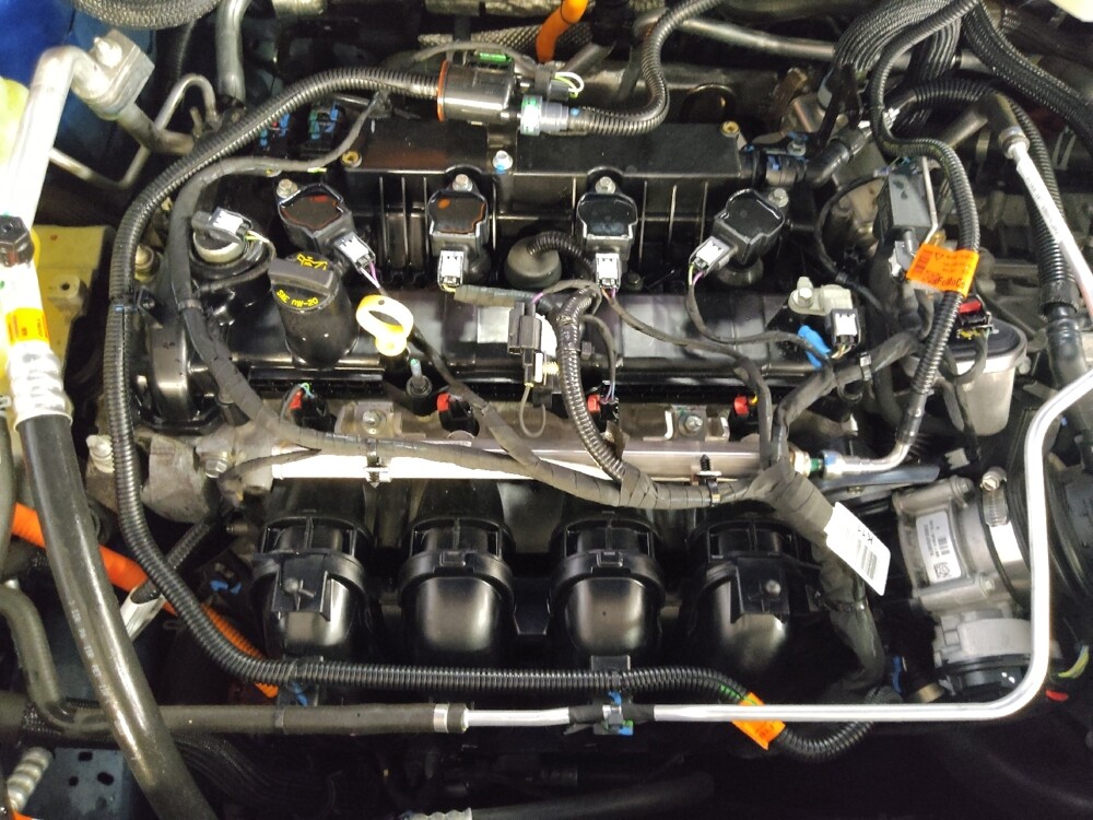 2023 Ford Maverick in Tampa, FL 33612 - 18116419 30