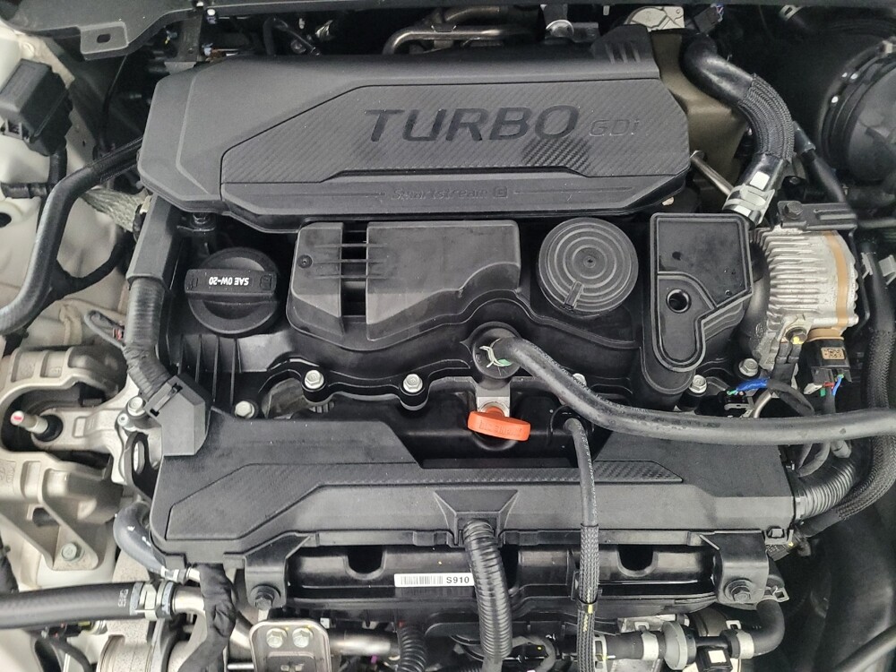 2023 Hyundai Elantra in Clearwater, FL 33764 - 18116732 30