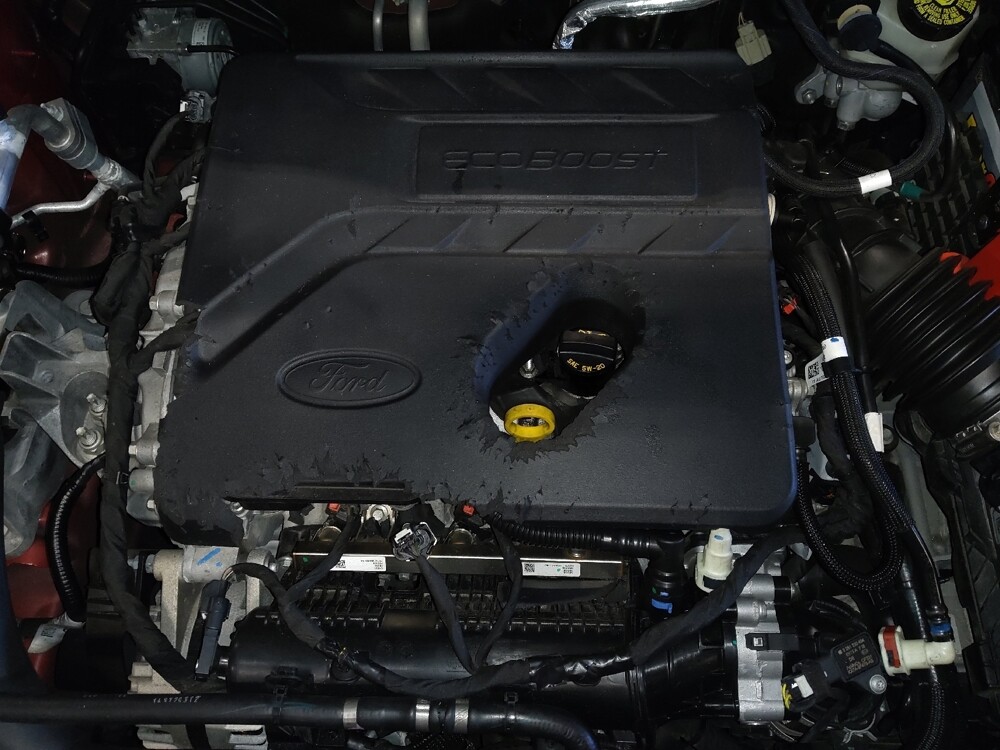 2020 Ford Escape in West Palm Beach, FL 33409 - 18117019 30