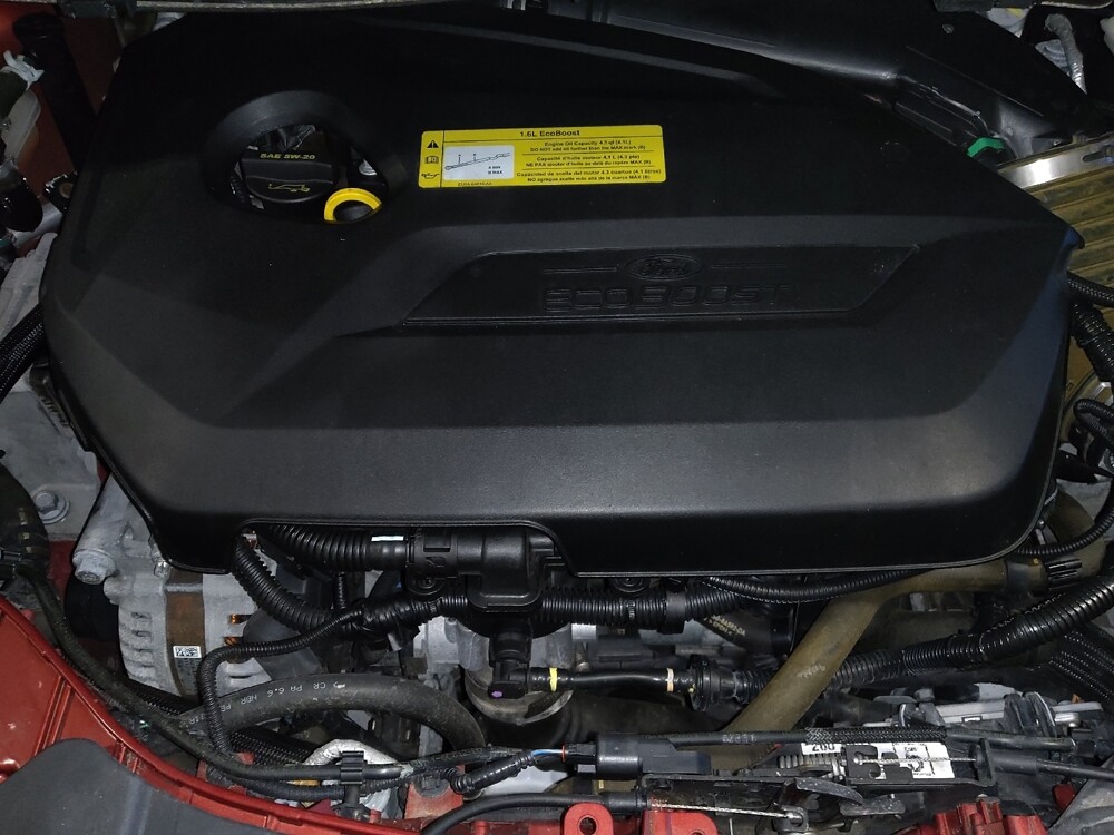 2014 Ford Escape in Sanford, FL 32773 - 18117821 30