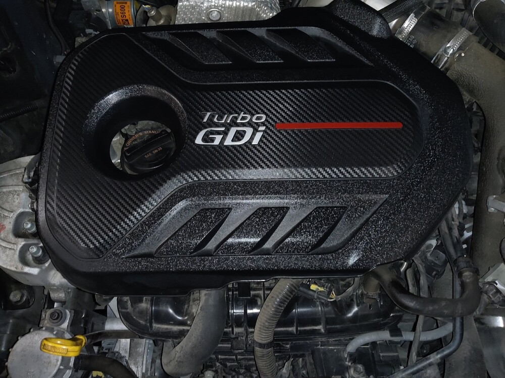 2019 Hyundai Santa Fe in West Palm Beach, FL 33409 - 18119431 30