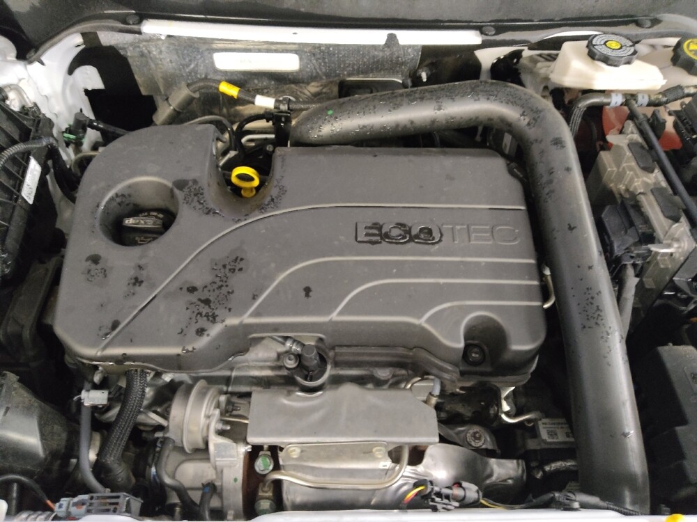 2024 GMC Terrain in Tallahassee, FL 32304 - 18119624 30