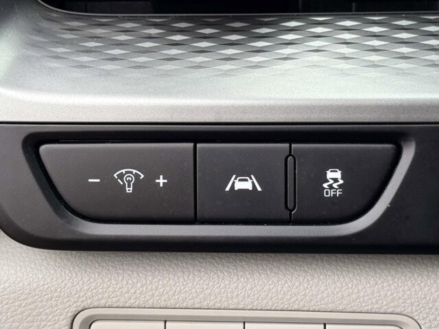 2024 Kia Carnival in Winchester, VA 22602 - 18121183 25