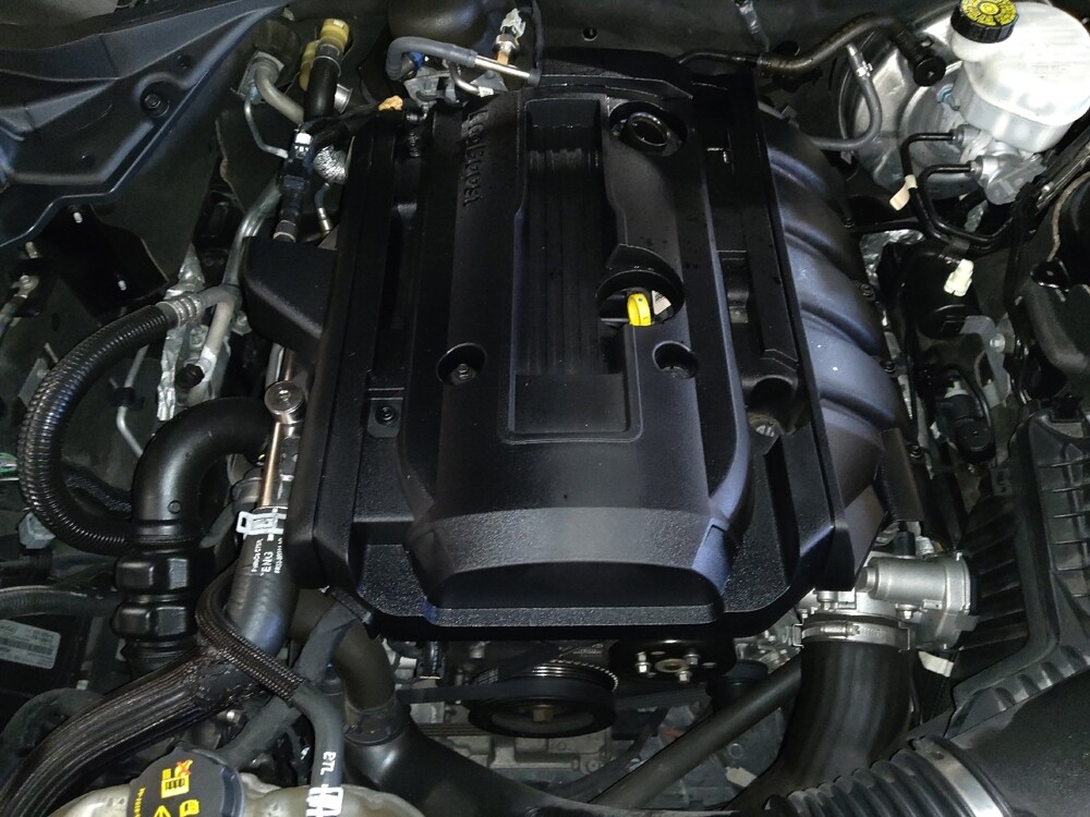 2019 Ford Mustang in Savannah, GA 31419 - 18121220 30