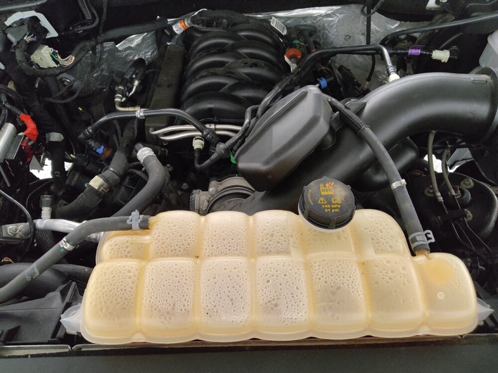 2019 Ford F150 in Fort Worth, TX 76116 - 18122971 30