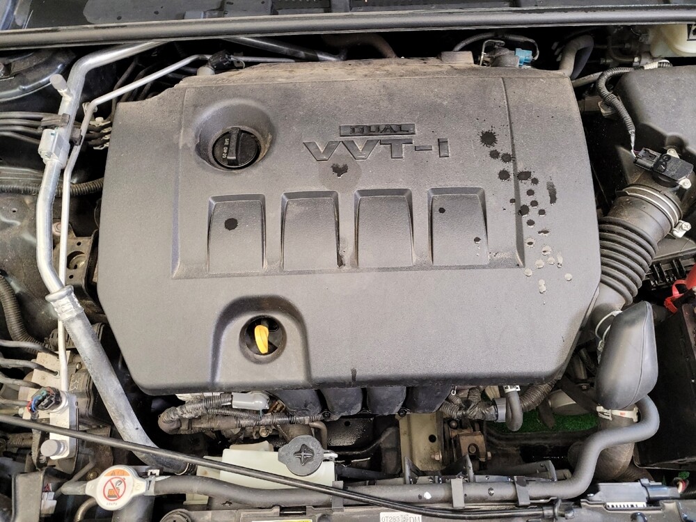 2019 Toyota Corolla in Louisville, KY 40258 - 18123229 30