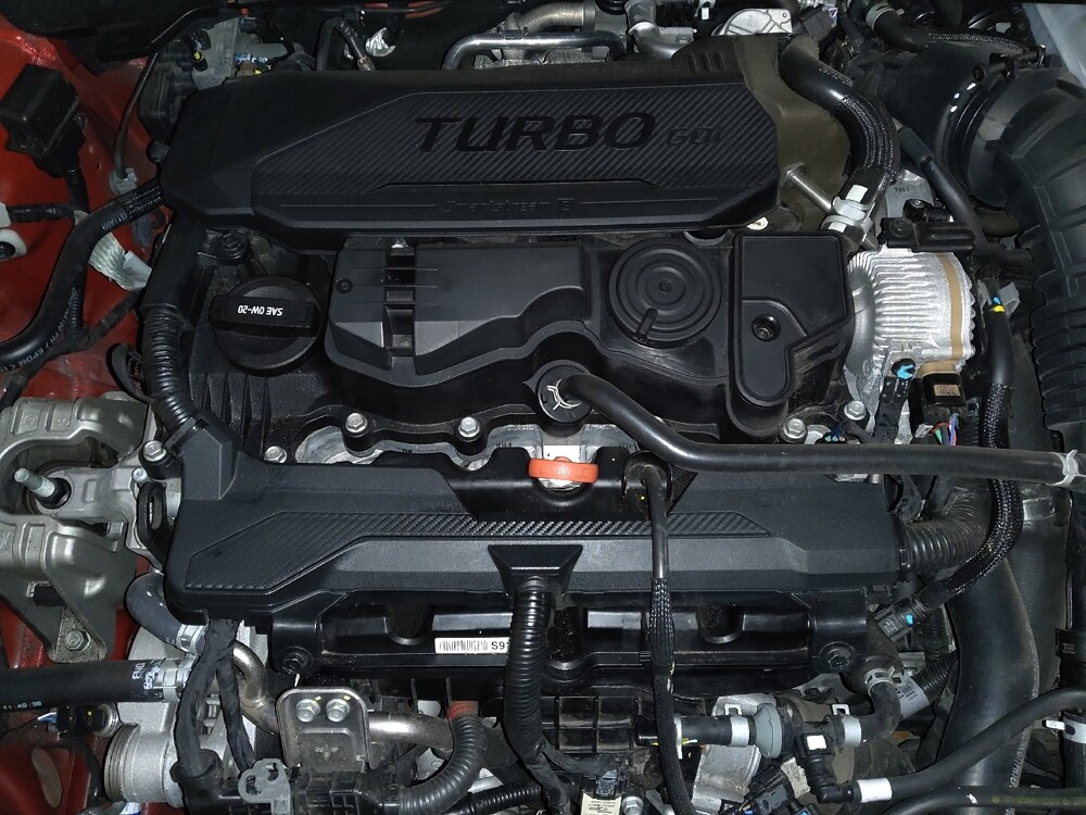 2023 Hyundai Elantra in Jacksonville, FL 32225 - 18124110 30