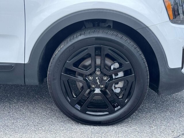 2024 Kia Telluride in Winchester, VA 22602 - 18124247 33