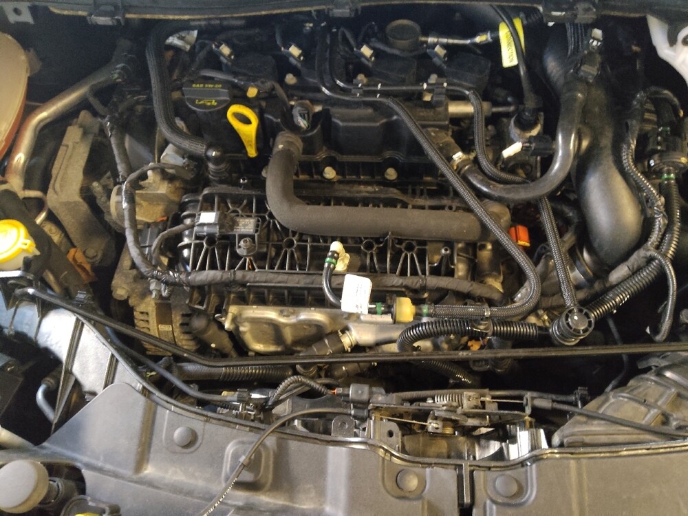 2019 Ford Escape in Charleston, SC 29414 - 18124403 30