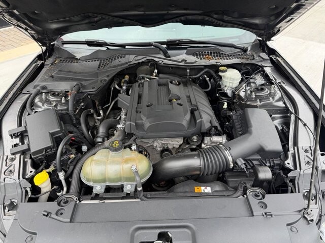 2017 Ford Mustang in Knoxville, TN 37920 - 18124919 28
