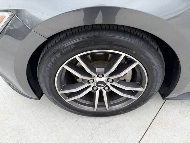 2017 Ford Mustang in Knoxville, TN 37920 - 18124919 24