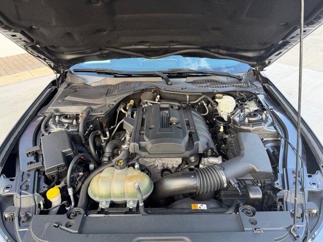 2017 Ford Mustang in Knoxville, TN 37920 - 18124919 26