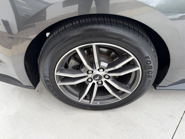 2017 Ford Mustang in Knoxville, TN 37920 - 18124919 26