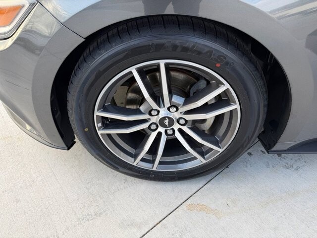 2017 Ford Mustang in Knoxville, TN 37920 - 18124919 22