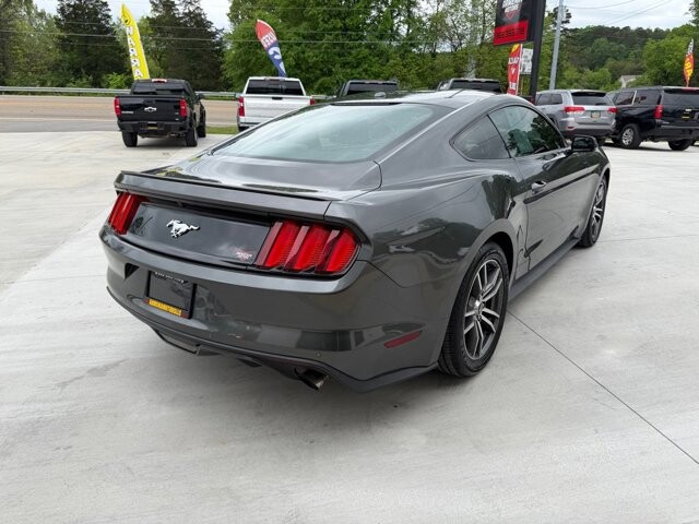 2017 Ford Mustang in Knoxville, TN 37920 - 18124919 4