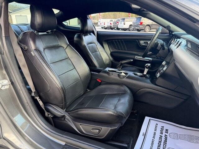 2017 Ford Mustang in Knoxville, TN 37920 - 18124919 12