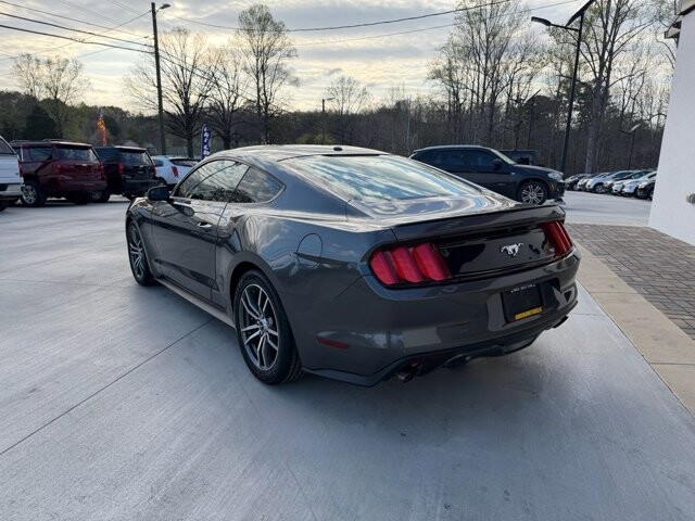 2017 Ford Mustang in Knoxville, TN 37920 - 18124919 2