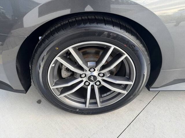 2017 Ford Mustang in Knoxville, TN 37920 - 18124919 25