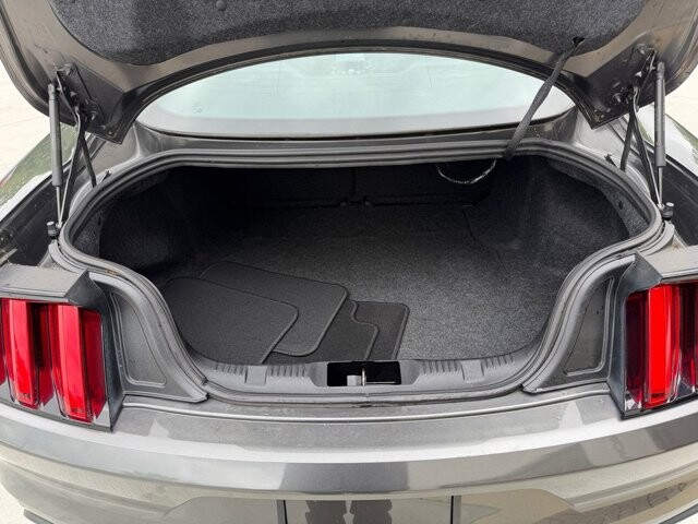 2017 Ford Mustang in Knoxville, TN 37920 - 18124919 23