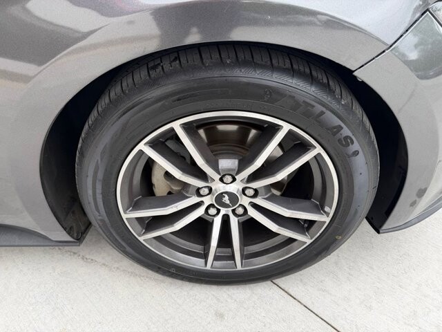2017 Ford Mustang in Knoxville, TN 37920 - 18124919 27
