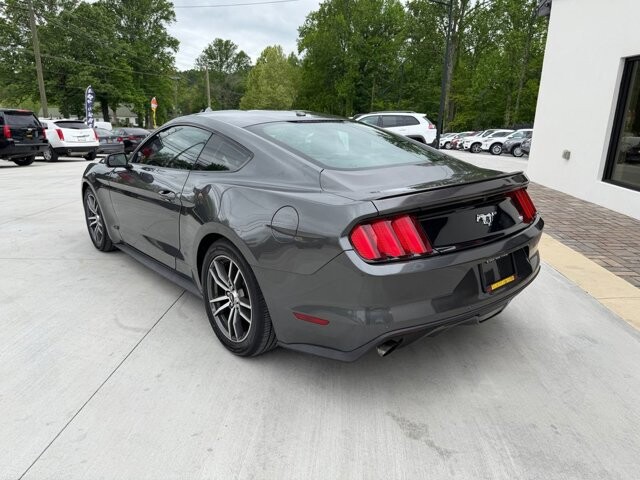 2017 Ford Mustang in Knoxville, TN 37920 - 18124919 2