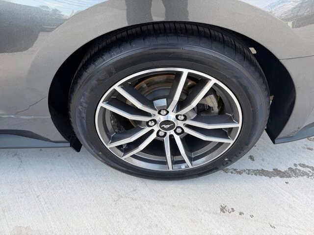 2017 Ford Mustang in Knoxville, TN 37920 - 18124919 24