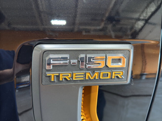 2025 Ford F150 in Burlington, WI 53105 - 18126000 10