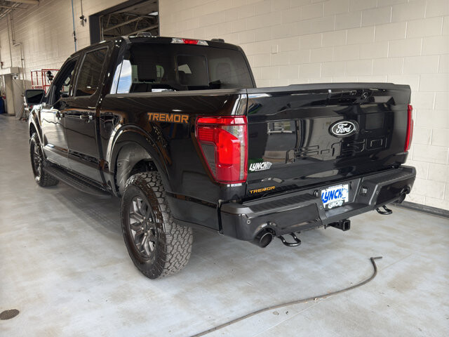 2025 Ford F150 in Burlington, WI 53105 - 18126000 3