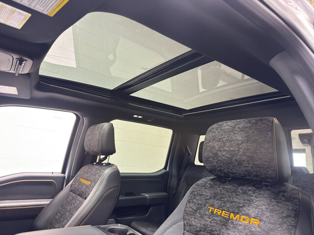 2025 Ford F150 in Burlington, WI 53105 - 18126004 35