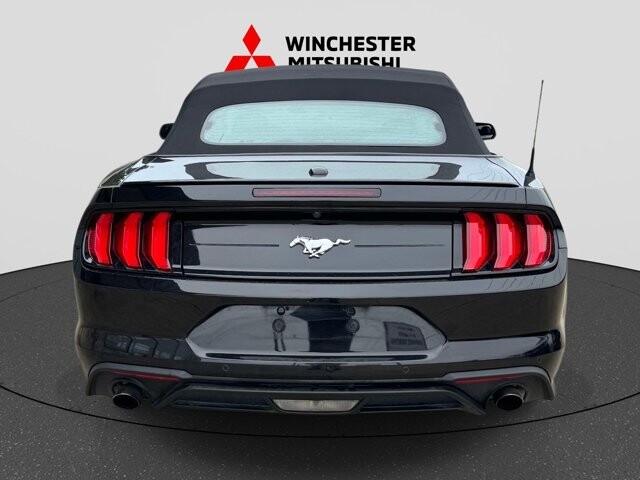 2023 Ford Mustang in Winchester, VA 22602 - 18126017 3