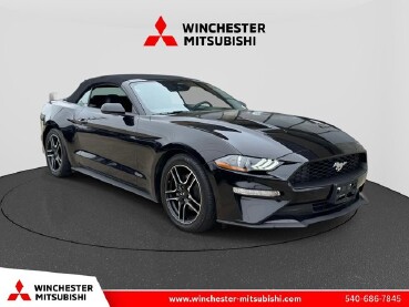 2023 Ford Mustang in Winchester, VA 22602