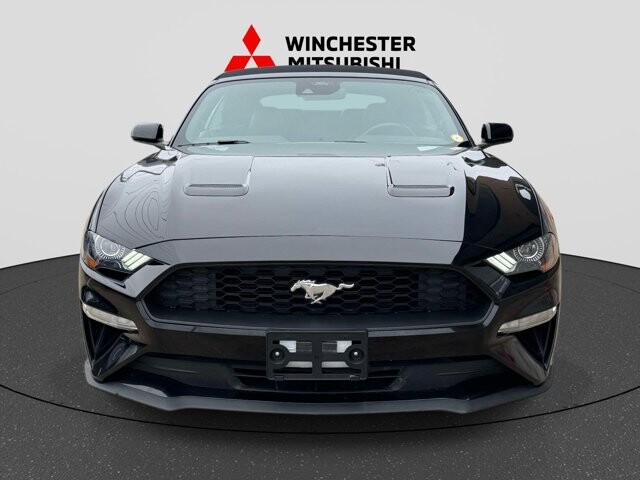 2023 Ford Mustang in Winchester, VA 22602 - 18126017 6