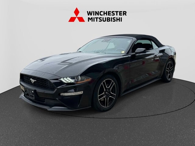 2023 Ford Mustang in Winchester, VA 22602 - 18126017 5