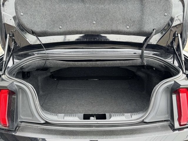 2023 Ford Mustang in Winchester, VA 22602 - 18126017 12