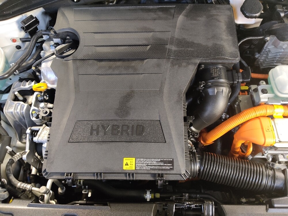 2019 Hyundai Ioniq in Charleston, SC 29414 - 18126257 30