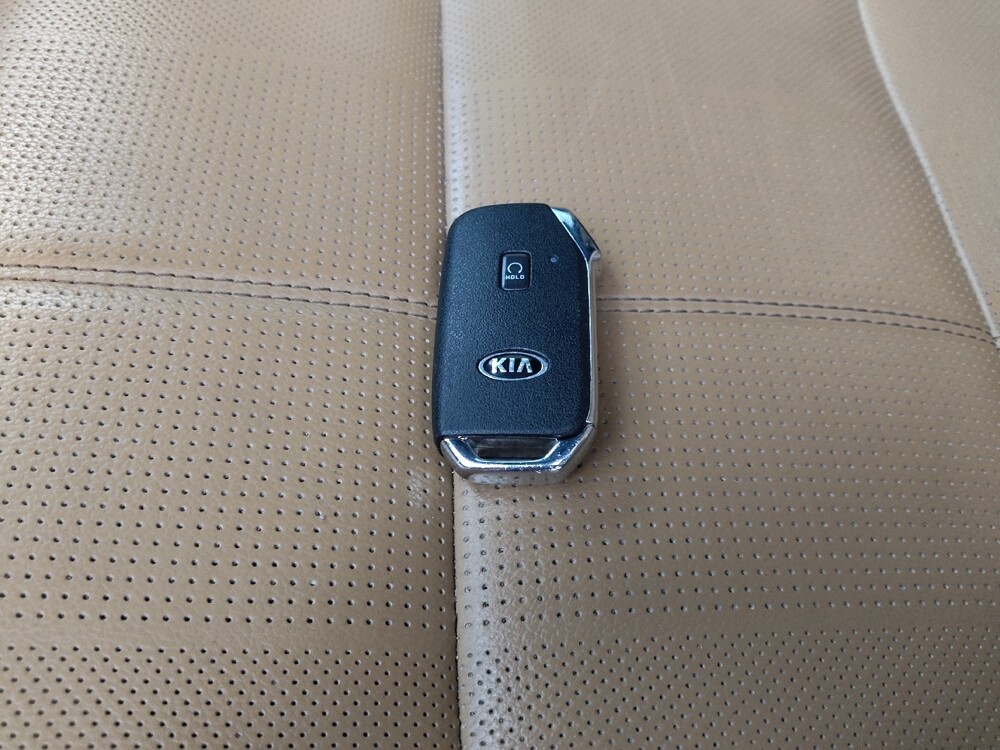 2021 Kia Telluride in St. Louis, MO 63136 - 18126304 32