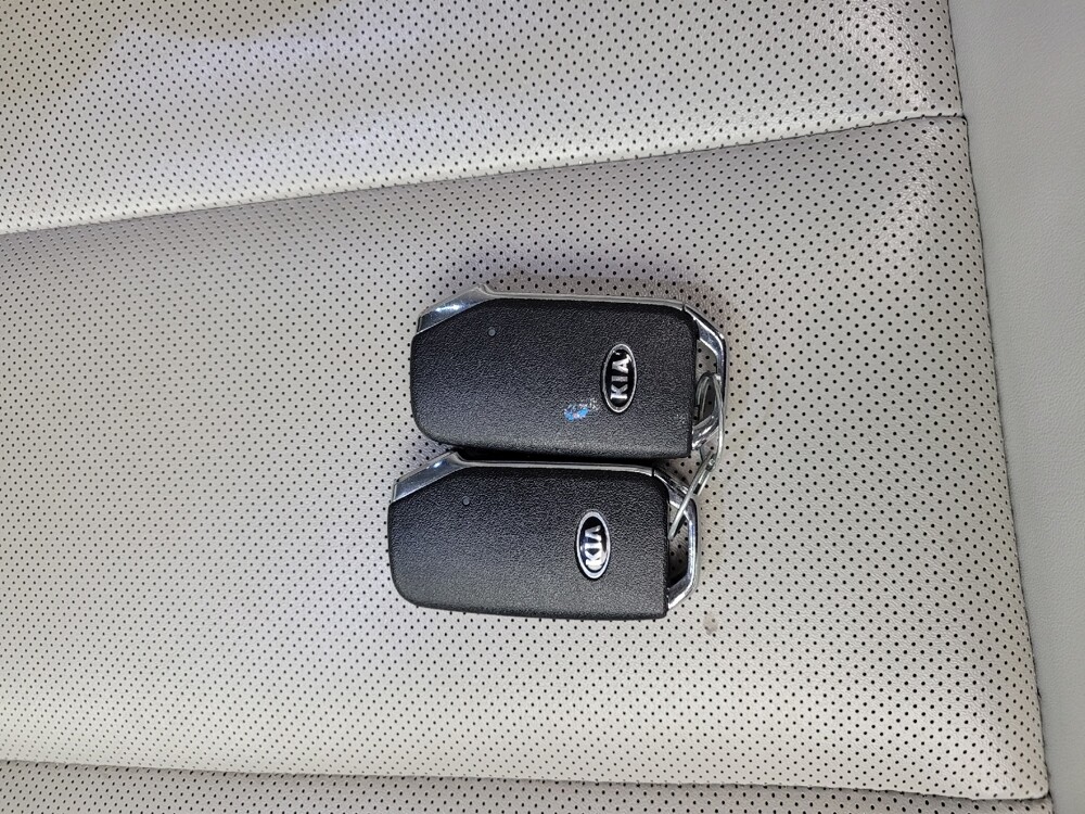 2020 Kia Telluride in Eastpointe, MI 48021 - 18126521 32